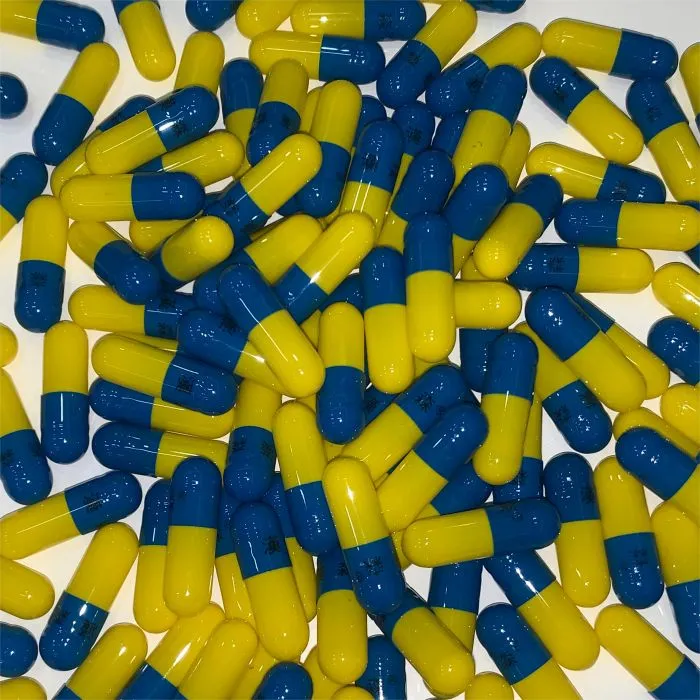 Viên nang gelatin rỗng 00